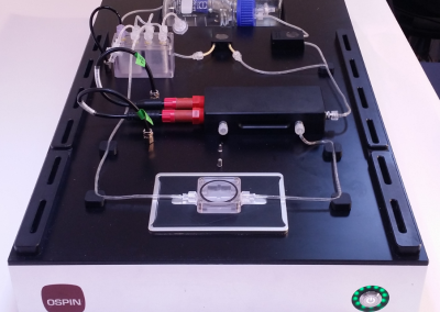 Bioreactor without lid