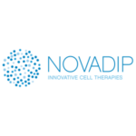 noivadip-scaled